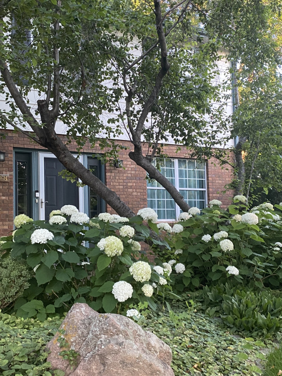Mother-in-law apartment close to CSU